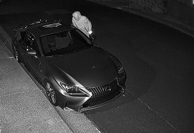Lexus vagia